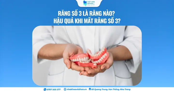 Răng số 3 là răng nào? Hậu quả khi mất răng số 3?