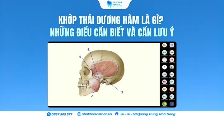 Khớp thái dương hàm là gì? Những điều cần biết và cần lưu ý