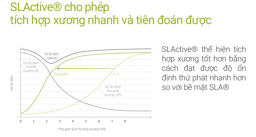 SLActive® cho phép tích hợp xương nhanh và tiên đoán được