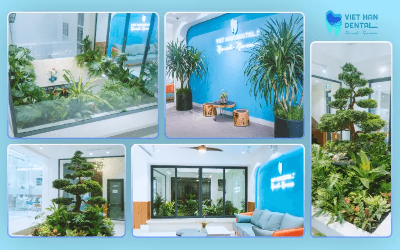 Không gian xanh "Chữa lành" tại Nha khoa Việt Hàn