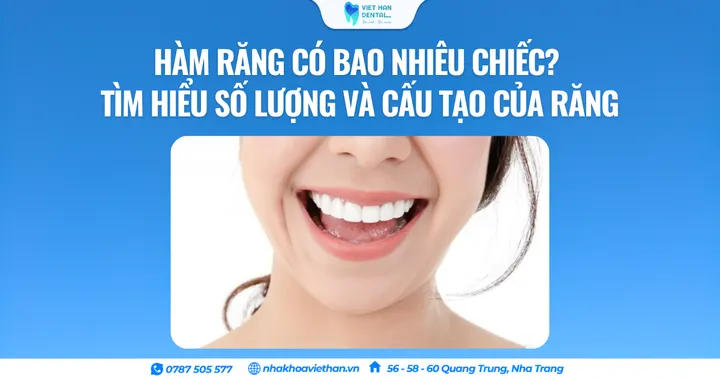 Hàm răng có bao nhiêu chiếc? Tìm hiểu số lượng và cấu tạo của răng