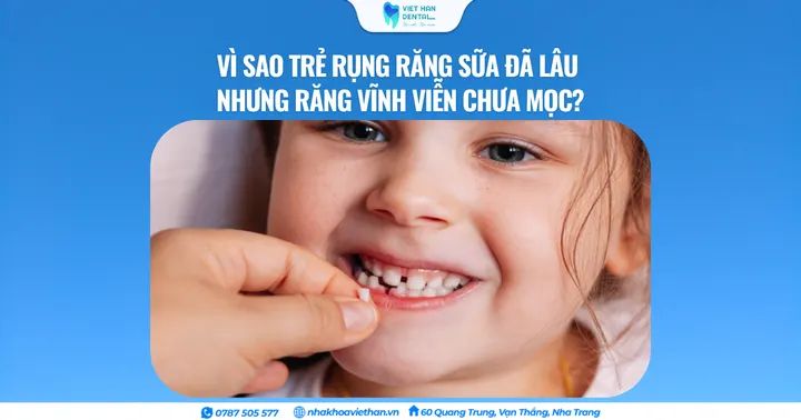 Vì sao trẻ rụng răng sữa đã lâu nhưng răng vĩnh viễn chưa mọc?